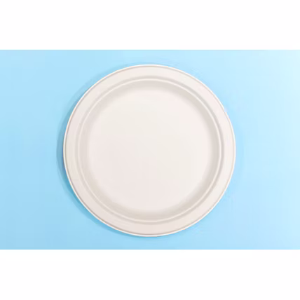 7 Inch Biodegradable Sugarcane Bagasse Round Plate – No Compartment-1