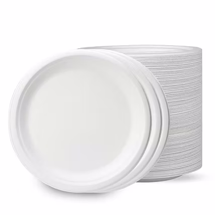 7 Inch Biodegradable Sugarcane Bagasse Round Plate – No Compartment-3