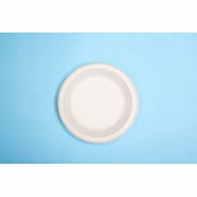 6 Inch Biodegradable Sugarcane Bagasse Plates – Eco-Friendly Disposable Tableware