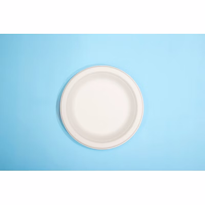 6 inch biodegradable sugarcane bagasse plates – eco-friendly disposable tableware