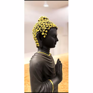 Elegant Black Standing Buddha Statue-1