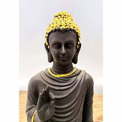 Elegant Black Standing Buddha Statue-4