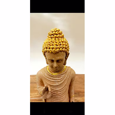 Standing Buddha Statue-4