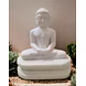 Sacred Lord Mahaveer Statue-12731983-sm