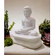 Sacred Lord Mahaveer Statue-2-sm
