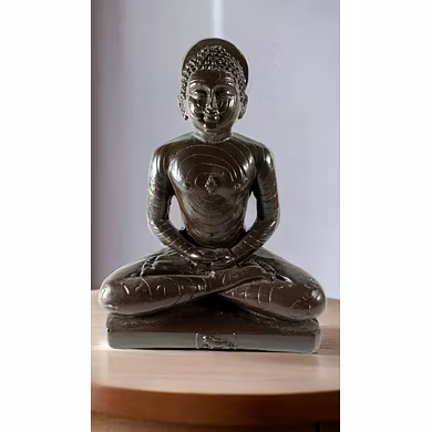 Serene Mahavira Statue-MFN-94