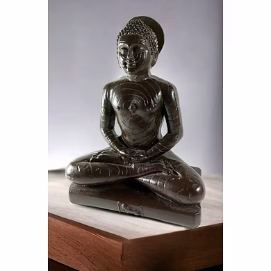 Serene Mahavira Statue-1