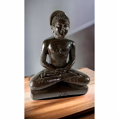 Serene Mahavira Statue-2