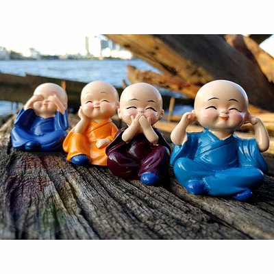 joyous mini monk set