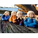 Joyous Mini Monk Set-MFN-99-sm