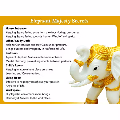 Regal White and Gold Elephant Figurine-3