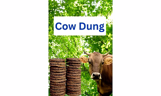 Cow Dung Cake