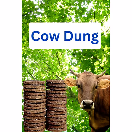 Cow Dung Cake-12748899