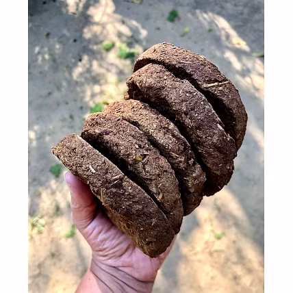Cow Dung Cake-1