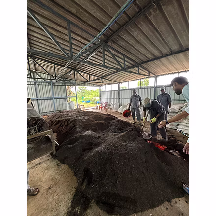 Vermicompost-12766759
