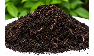 Vermicompost