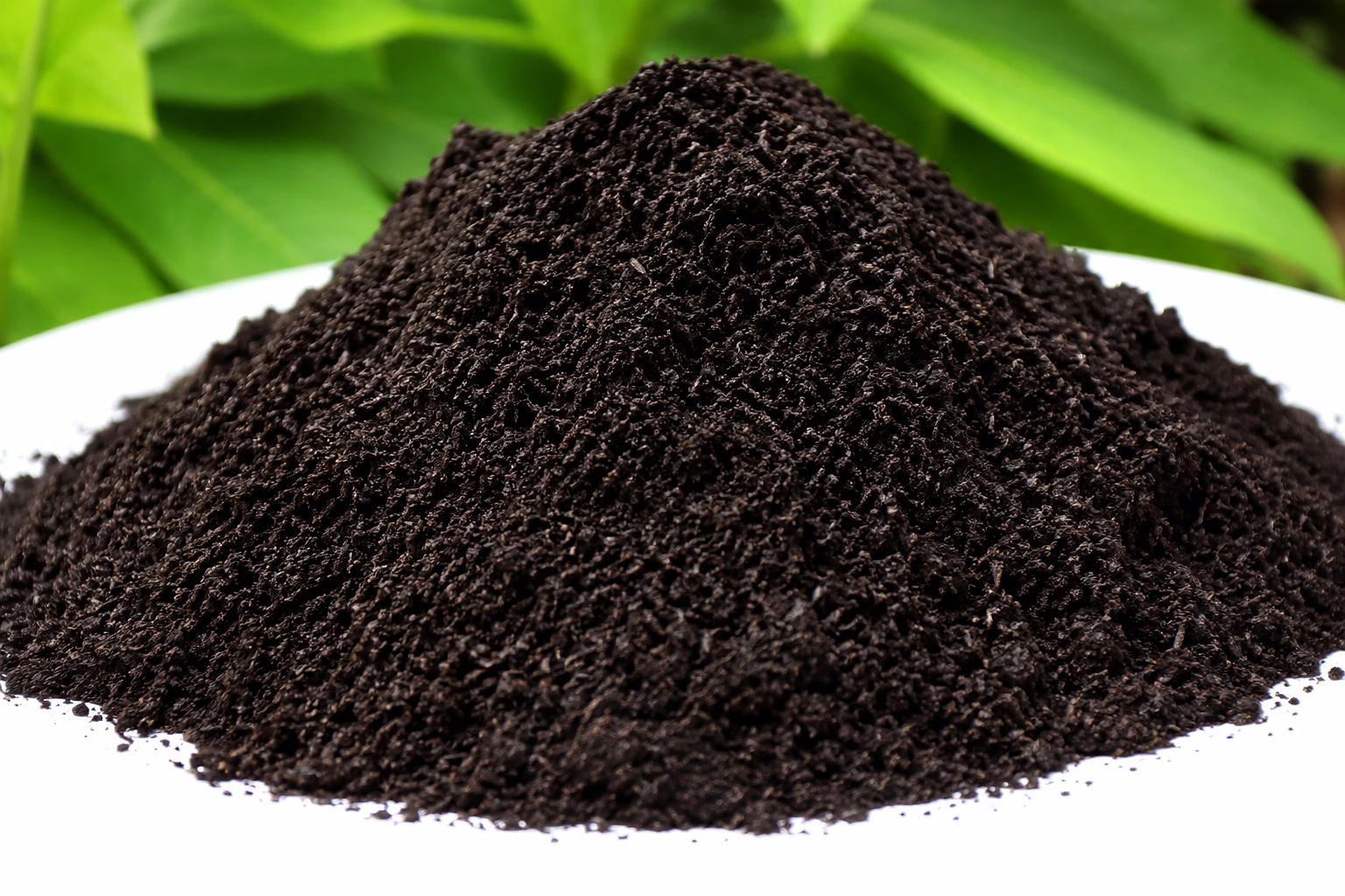 Vermicompost image 2