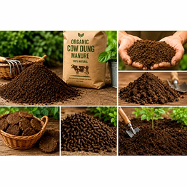 cow dung manure