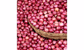 Fresh Onions