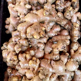 fresh ginger