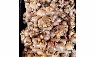 Fresh Ginger