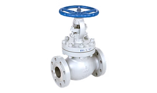 Globe Valve