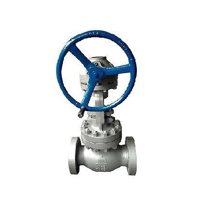 Globe Valve-3