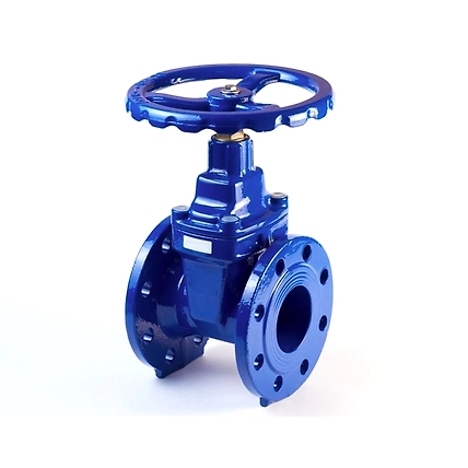 Gate Valve-1