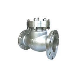 check valve