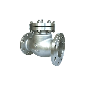 Check Valve