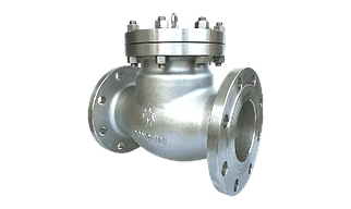 Check Valve