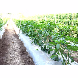 growit mulch film