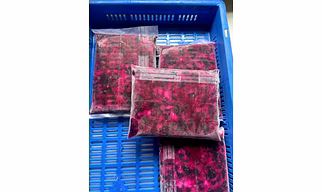 frozen jamun slice