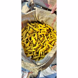 turmeric finger (salem) double polish