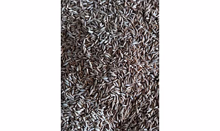 Cumin seeds Singapore 99