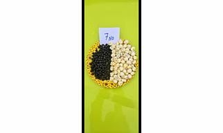 Fox nut (MAKHANA)