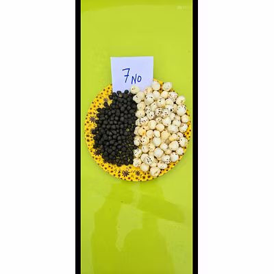 Fox nut (MAKHANA)-12740889