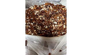 TAMARIND SEEDLESS
