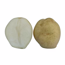fresh potatoes