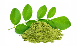 MORINGA POWDER , HERBS , ORGANIC MORINGA POWDER, AYURVEDIC MORINGA POWDER