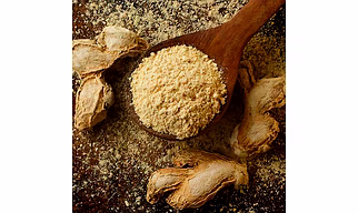 dry ginger powder