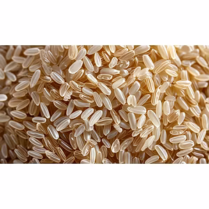 Basmati and non Basmati Rice