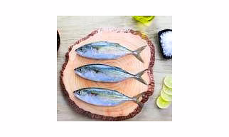 INDIAN MICKERAL FISH
