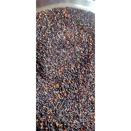 Black Rice (Chak-Hao)-3