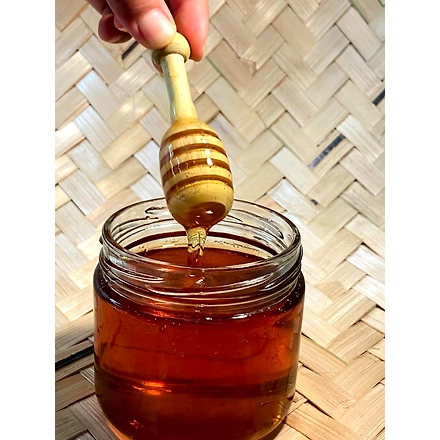 Honey Forest-12728813