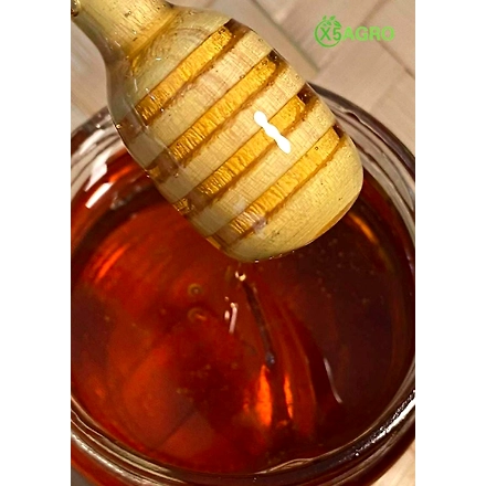 Honey Forest-1