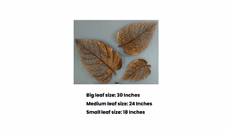Metal Leaf Wall Hanging – Set of 3 Elegant Nature-Inspired Pieces (30″, 24″, 18″)