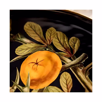 amrit kalash wrought iron food plate (hand printed) / 10 inch