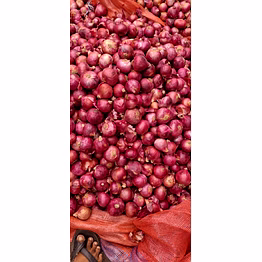 onion