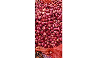 Onion
